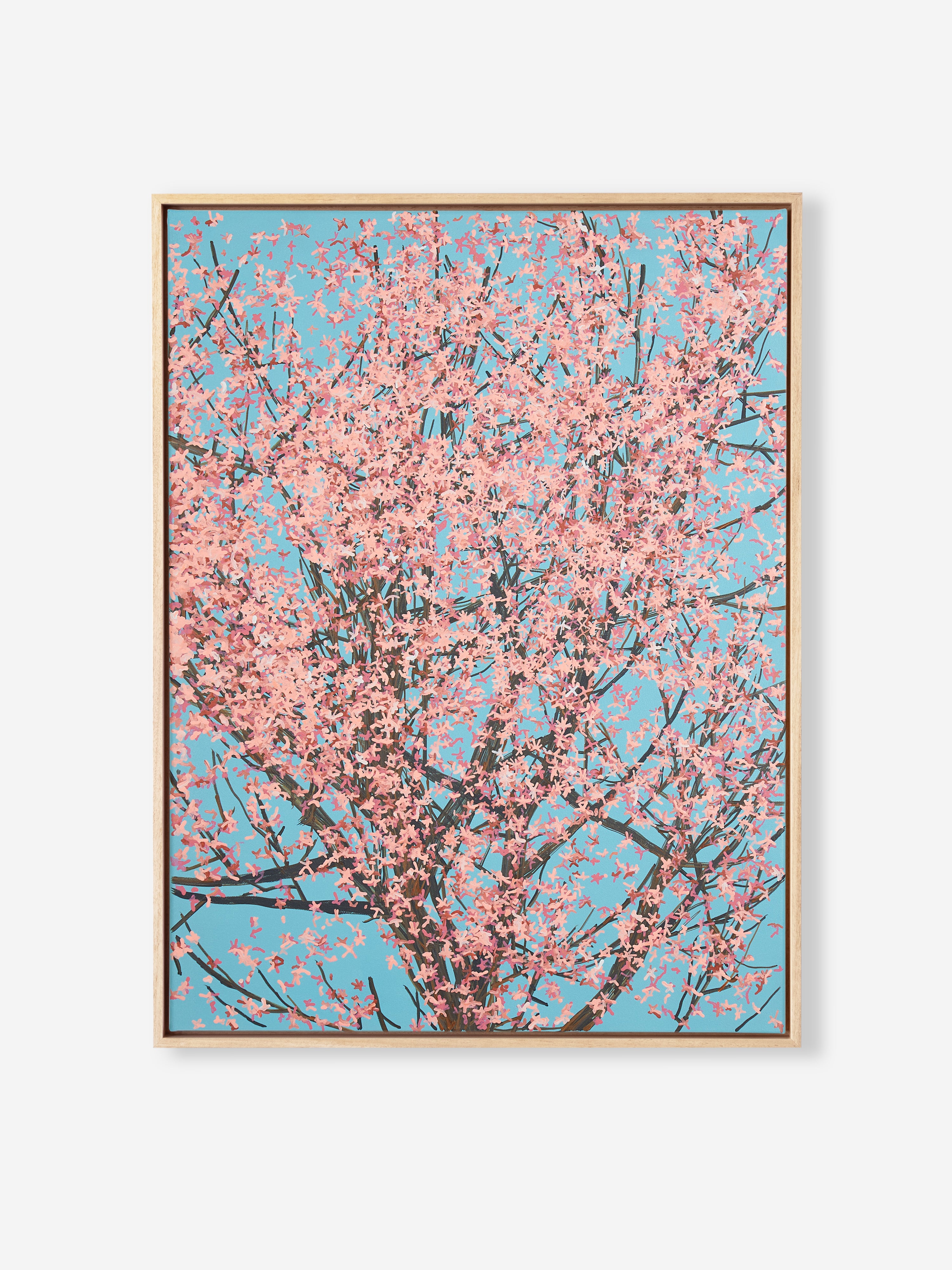 Sakura 01 / 001