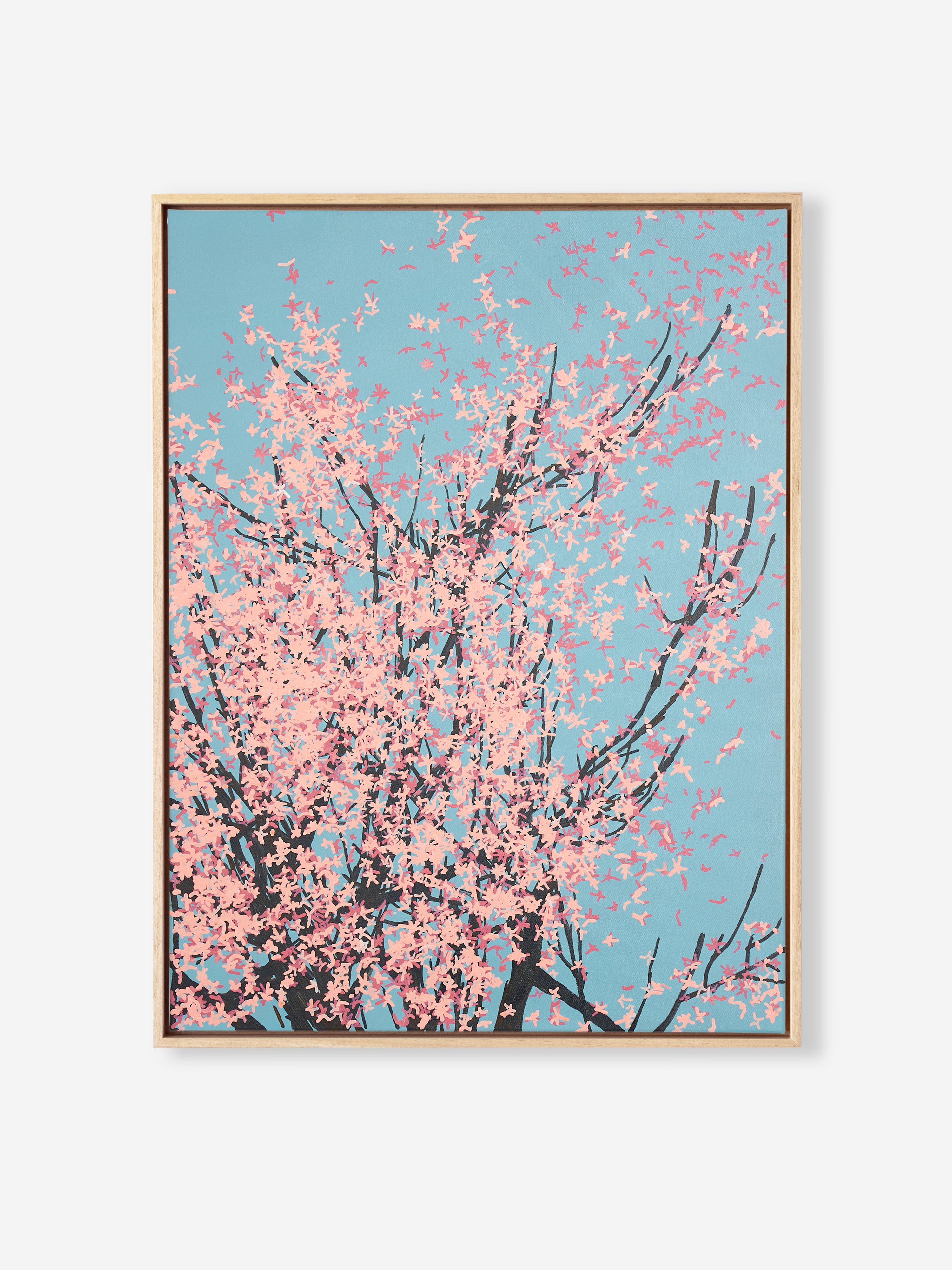 Sakura 01 / 002
