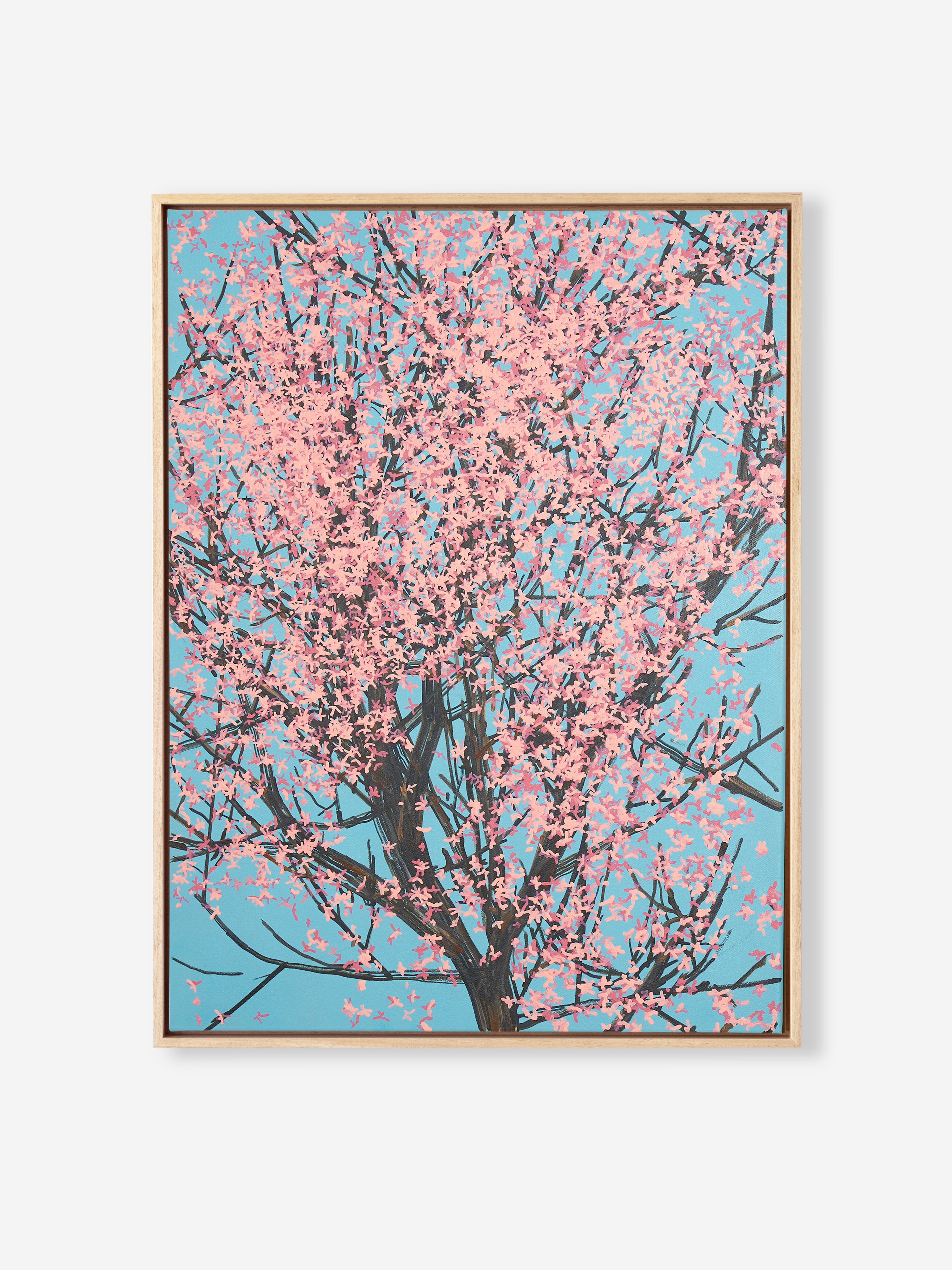 Sakura 01 / 003