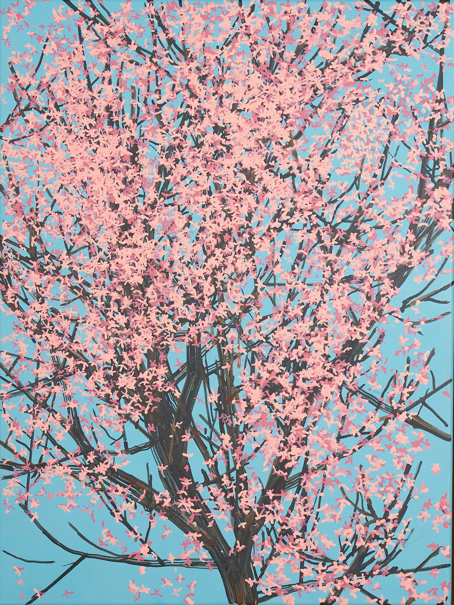 Sakura 01 / 003
