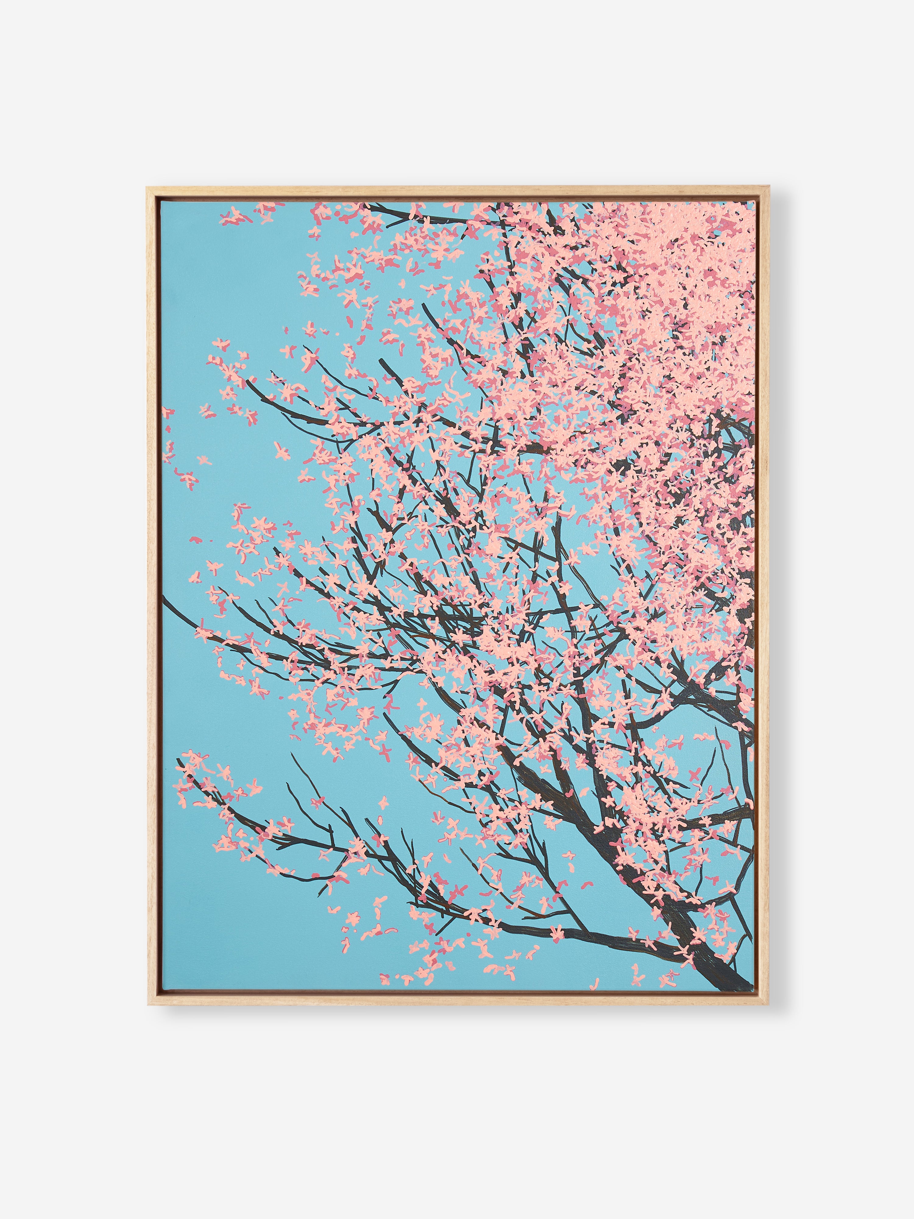 Sakura 01 / 004