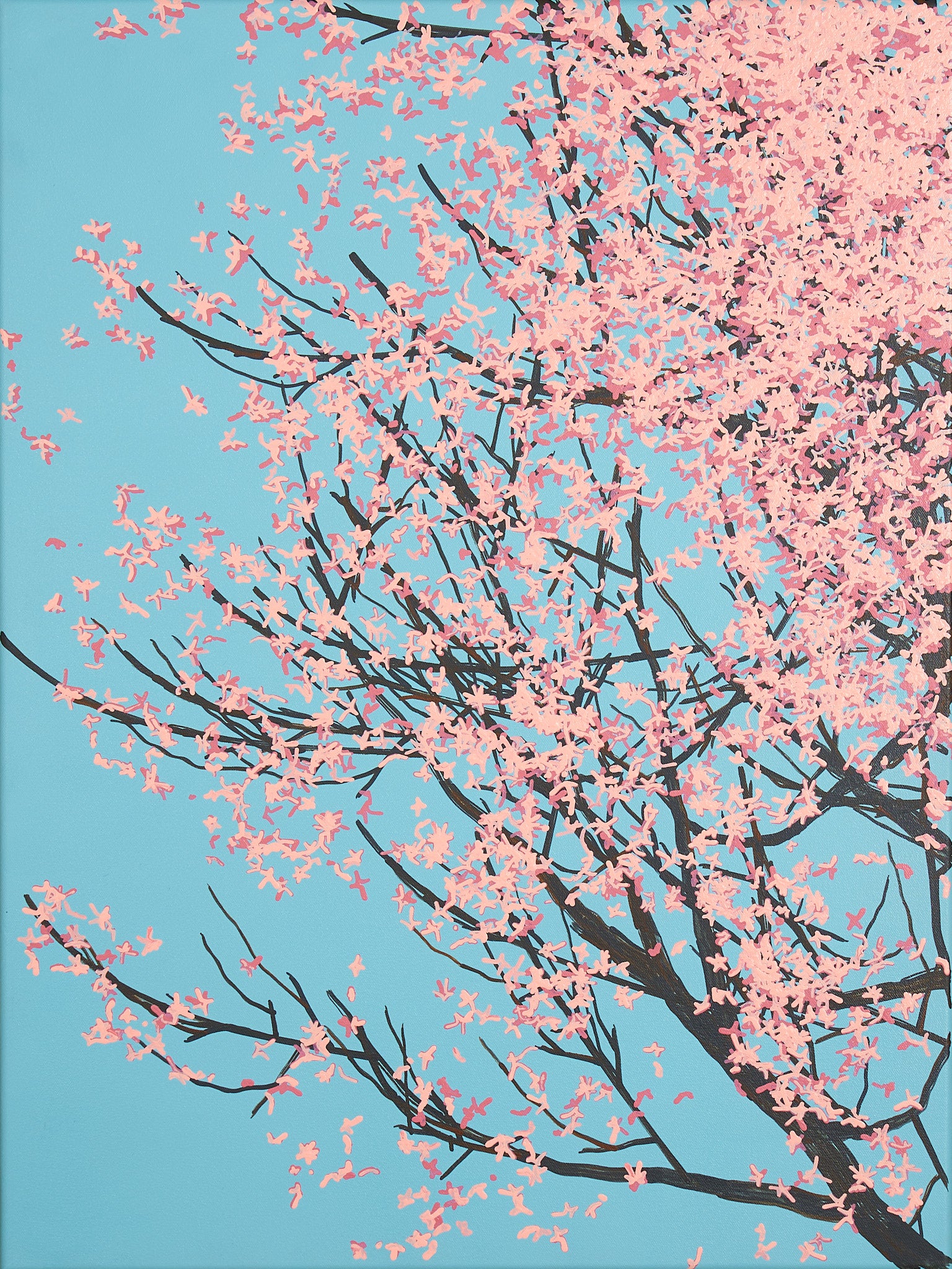 Sakura 01 / 004
