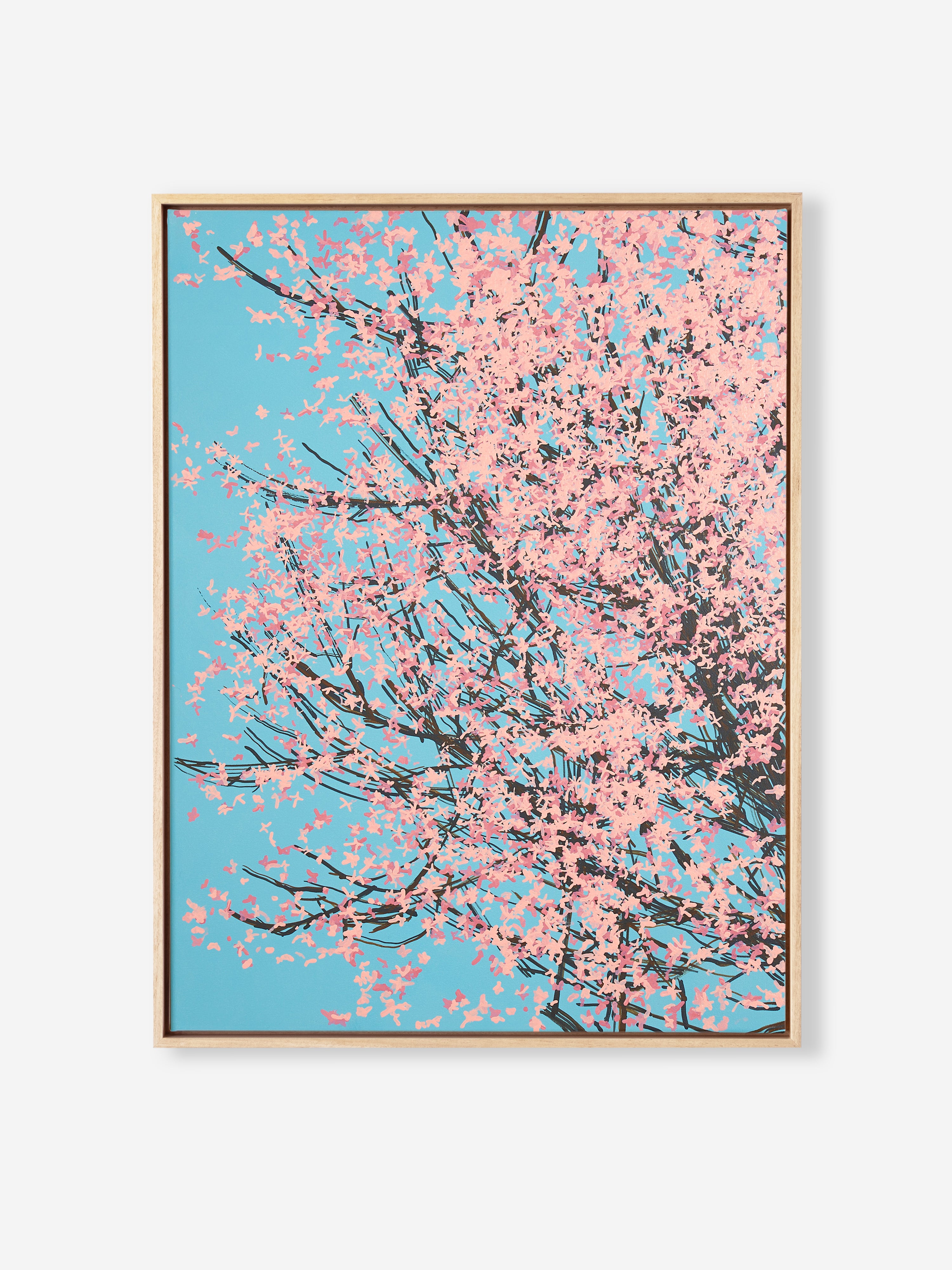 Sakura 01 / 005