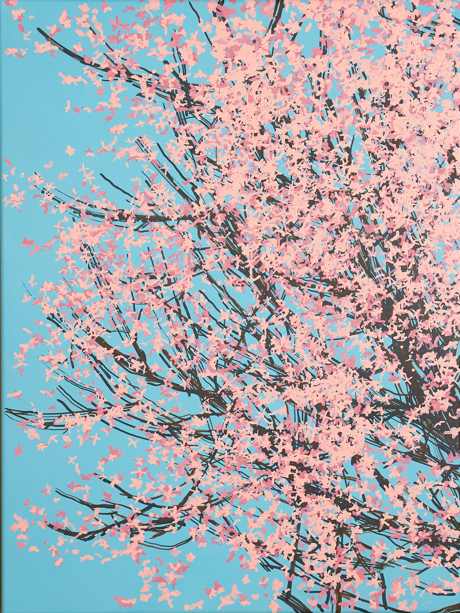 Sakura 01 / 005