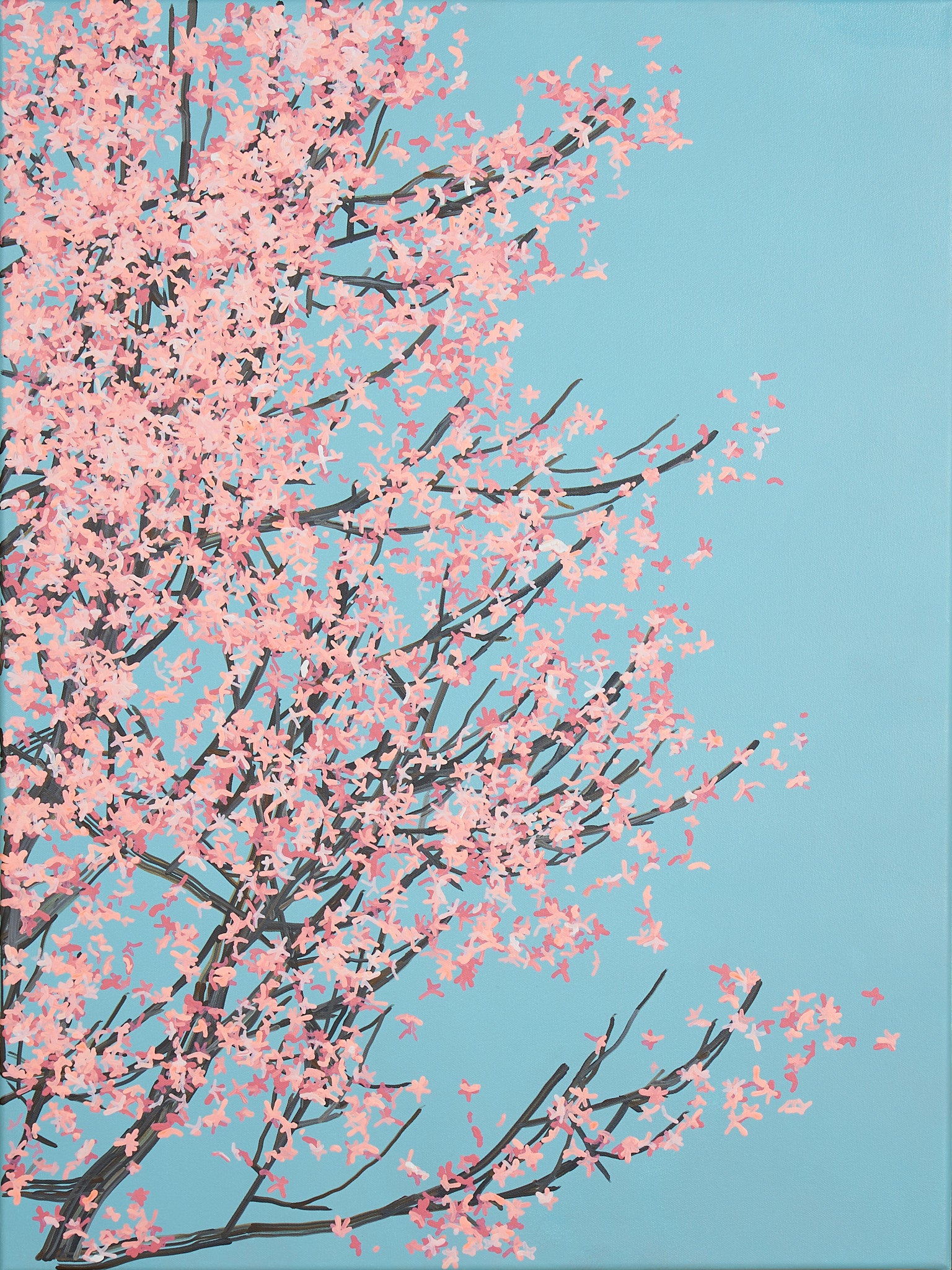 Sakura 01 / 006