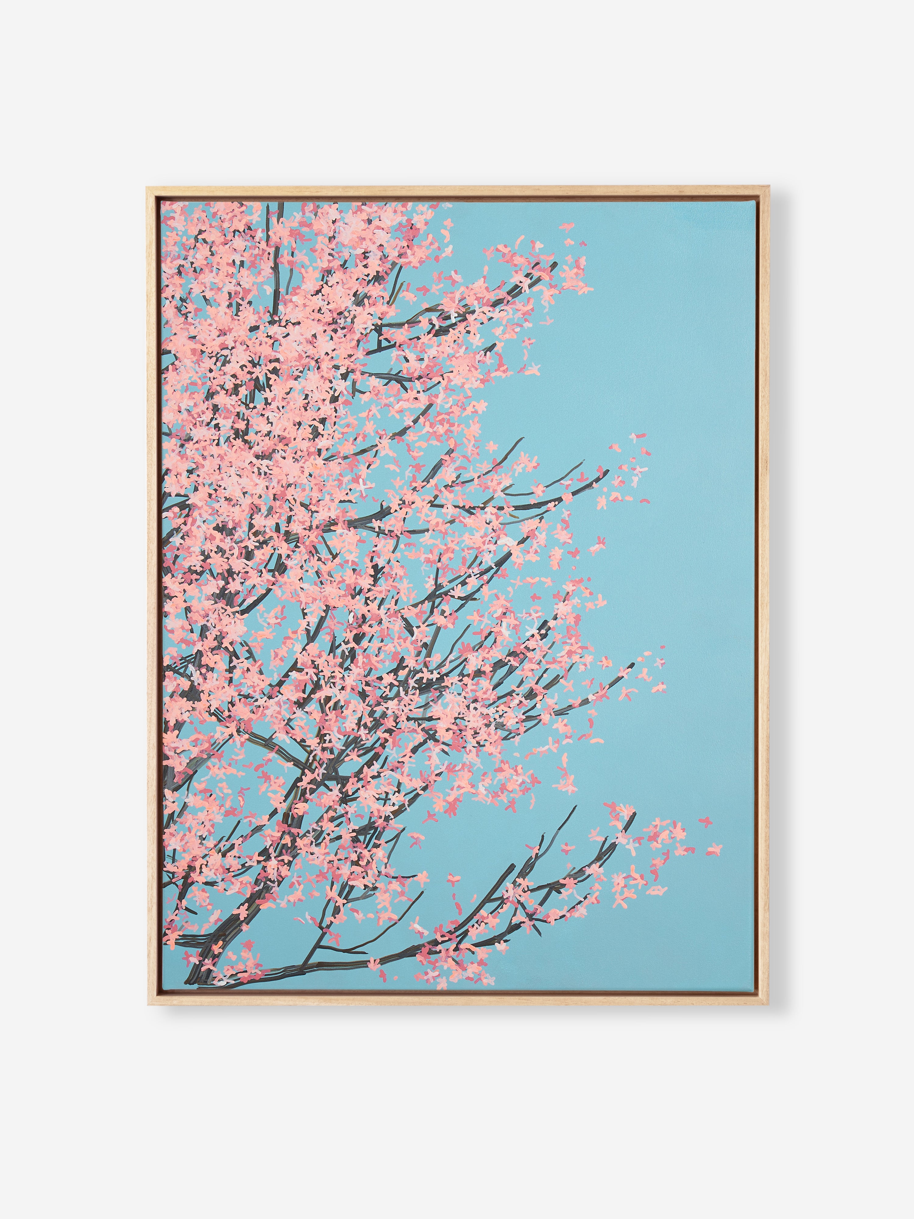 Sakura 01 / 006