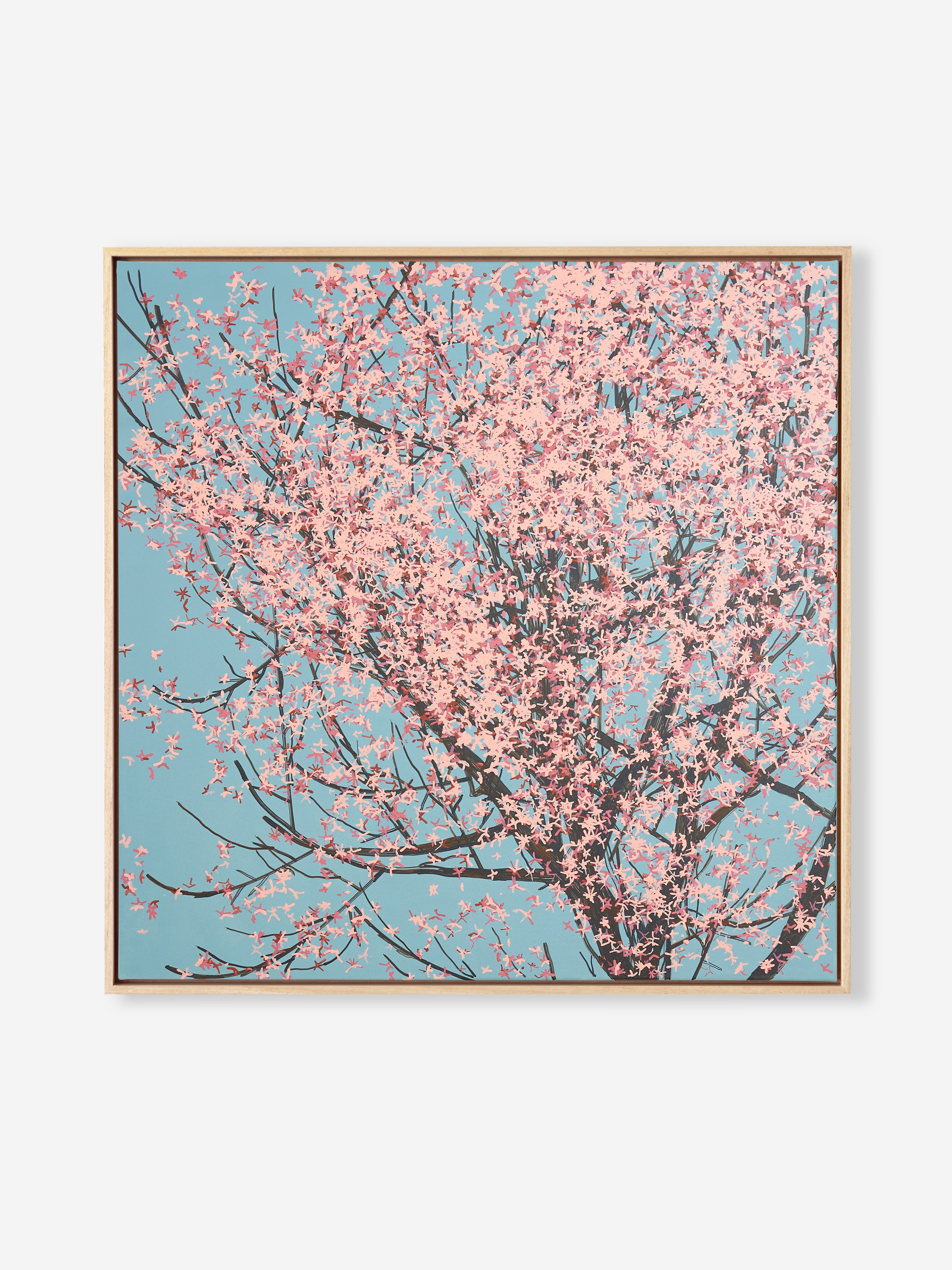 Sakura 01 / 007