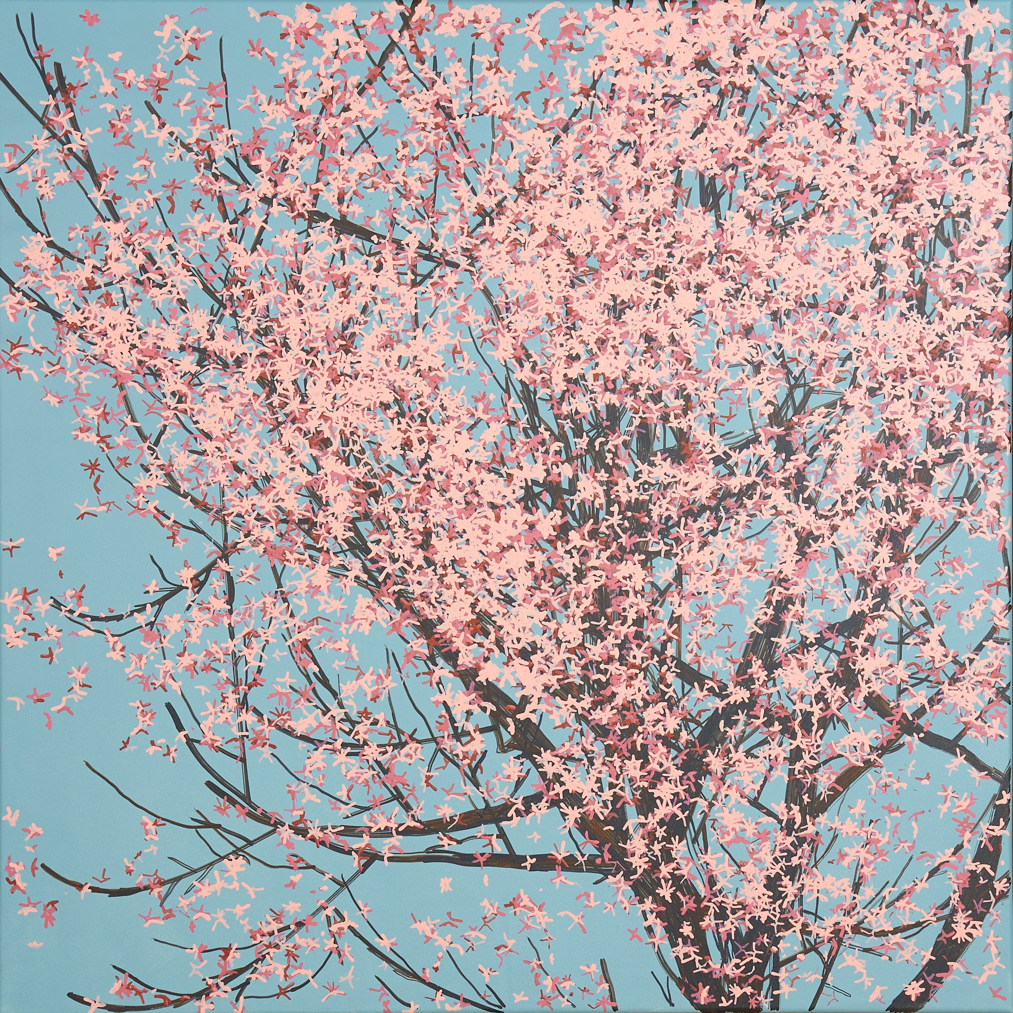 Sakura 01 / 007