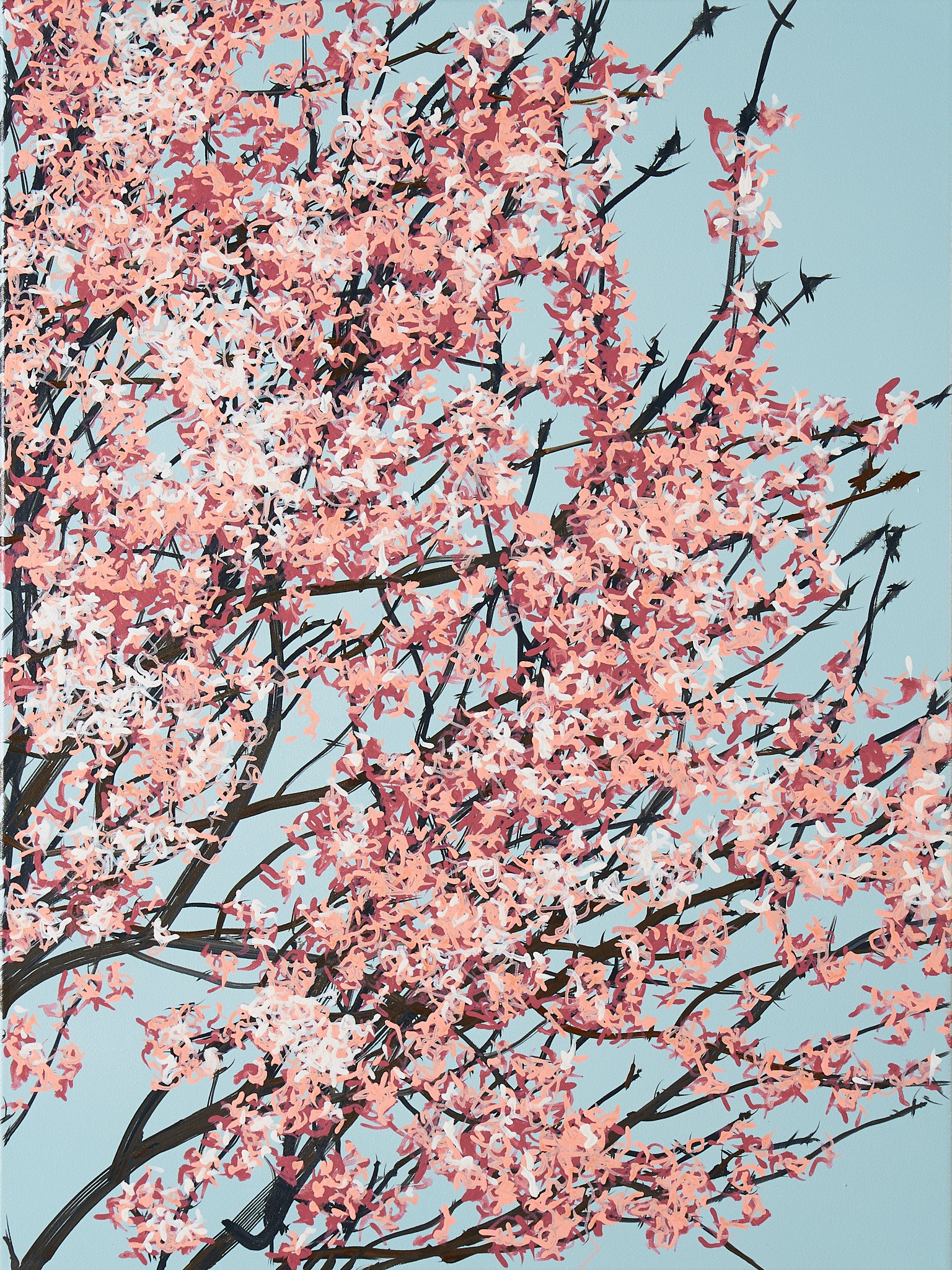 Sakura 02 / 001