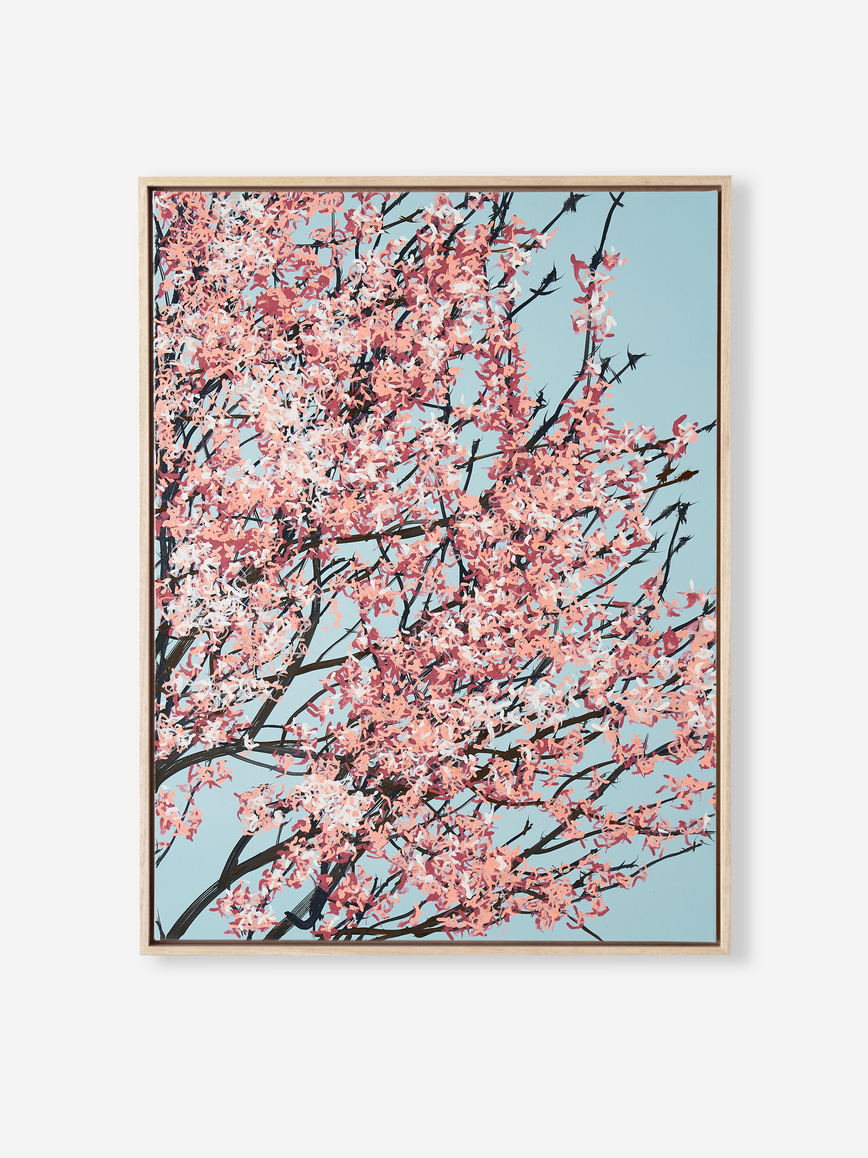 Sakura 02 / 001