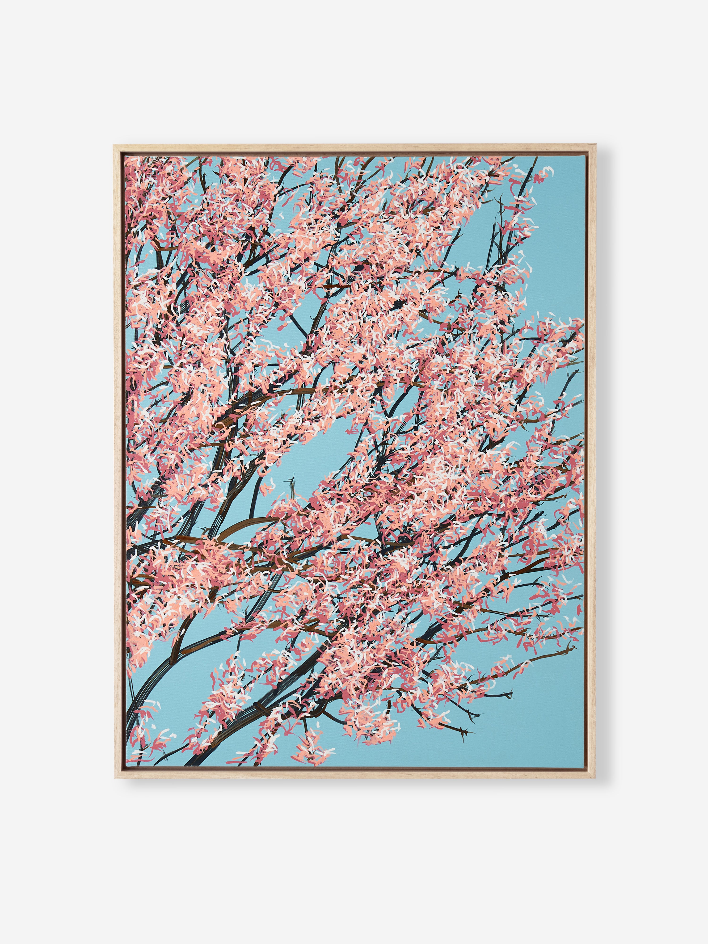 Sakura 02 / 002