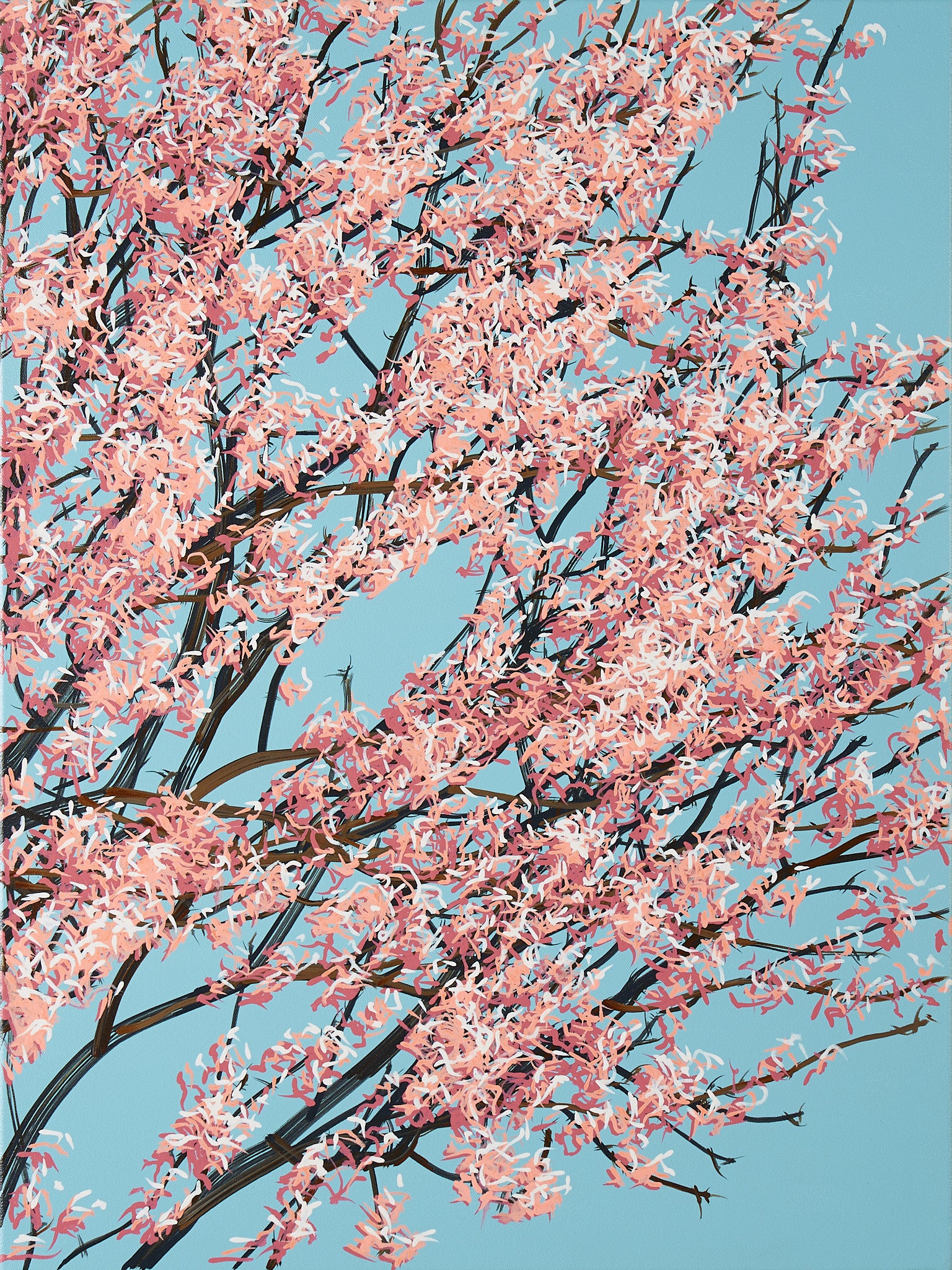 Sakura 02 / 002