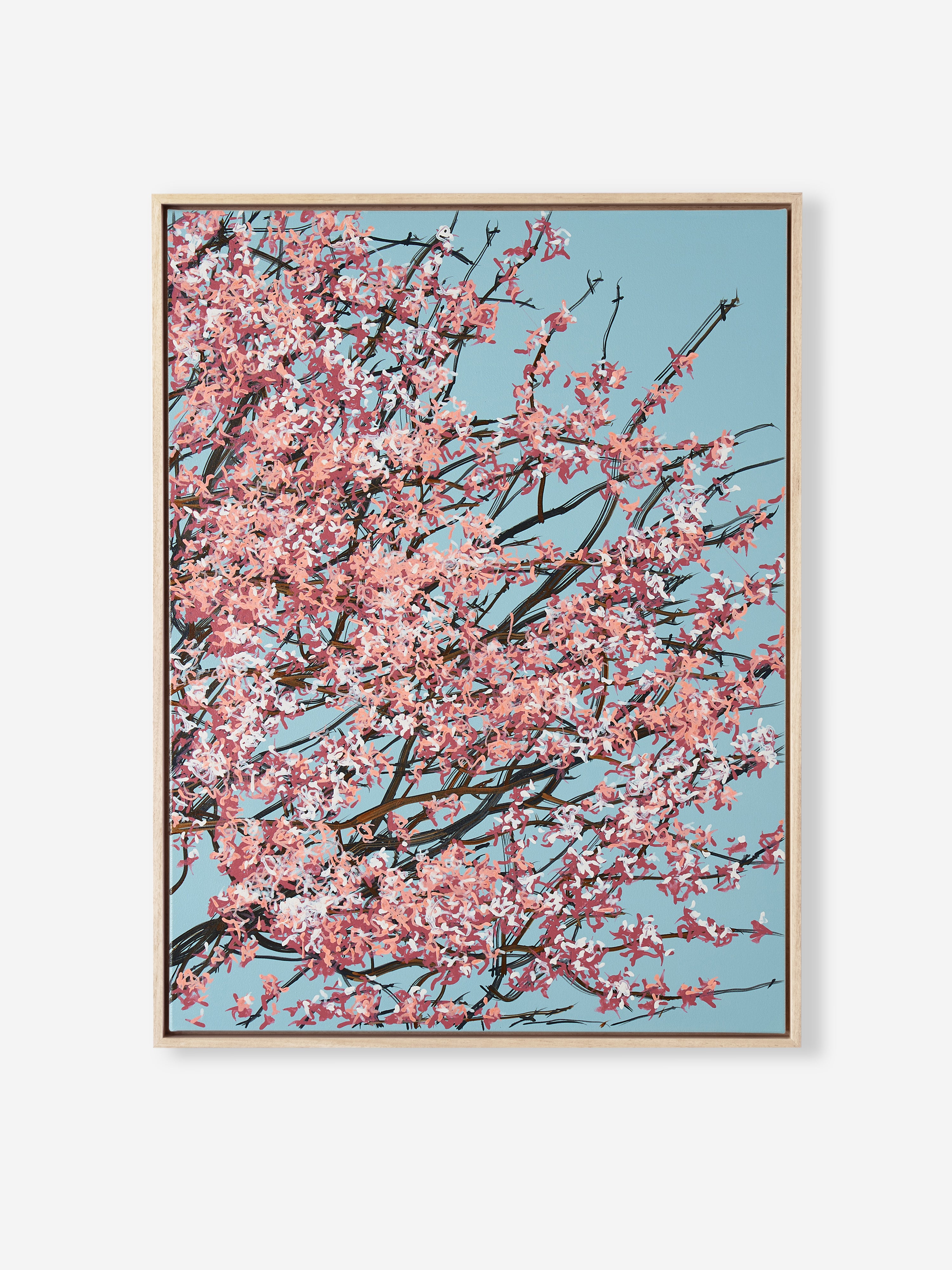 Sakura 02 / 003
