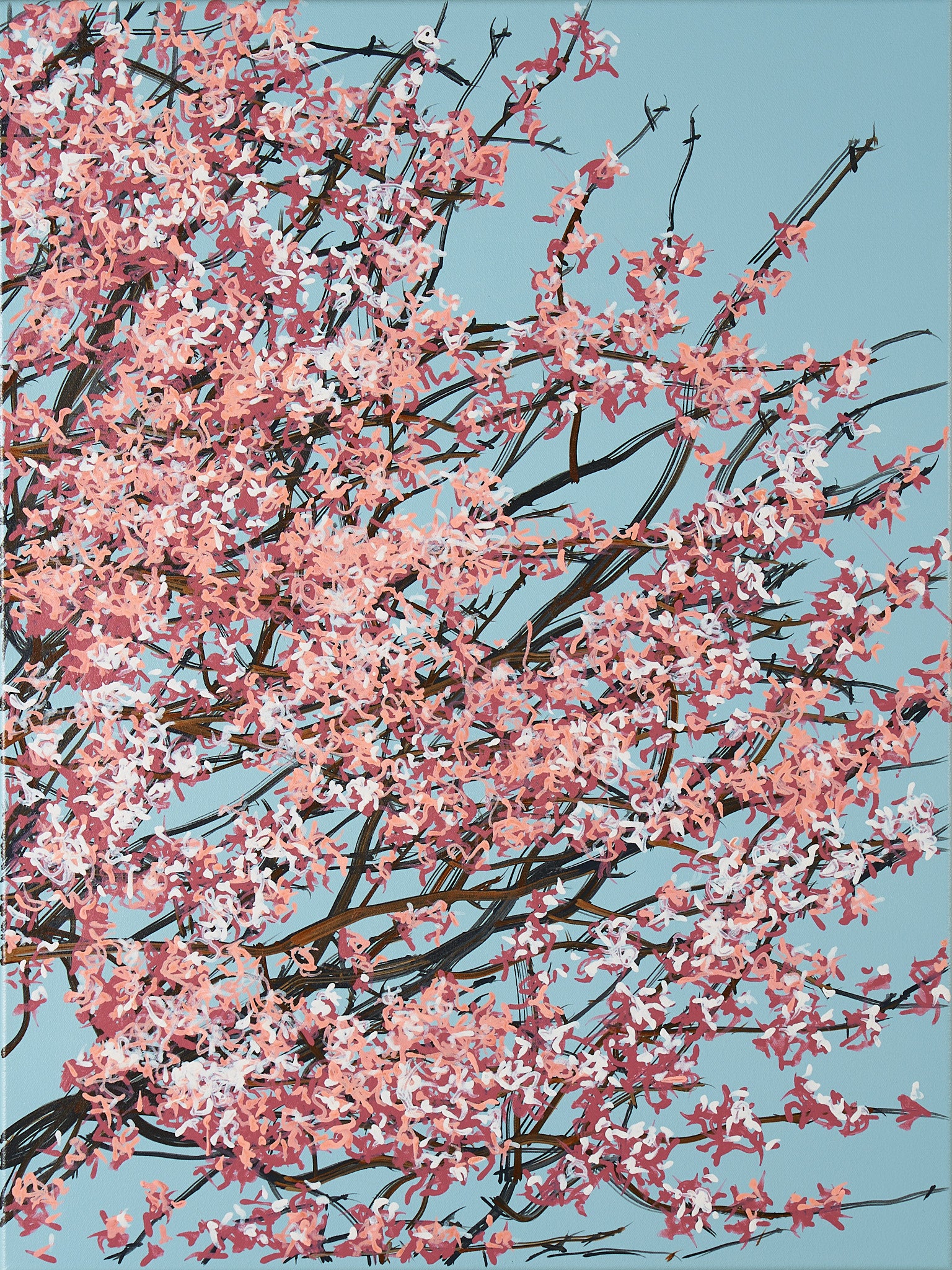 Sakura 02 / 003