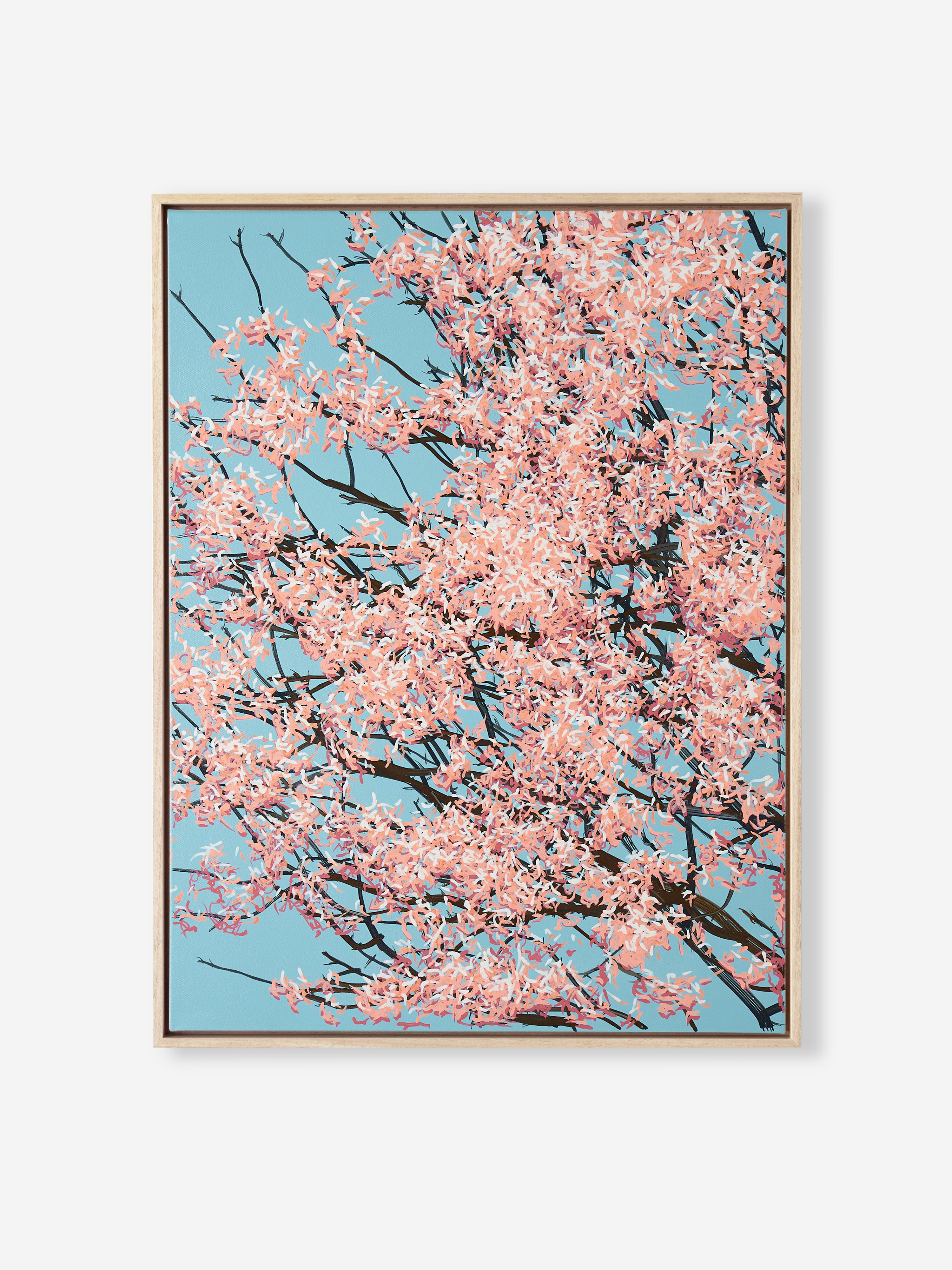 Sakura 02 / 004