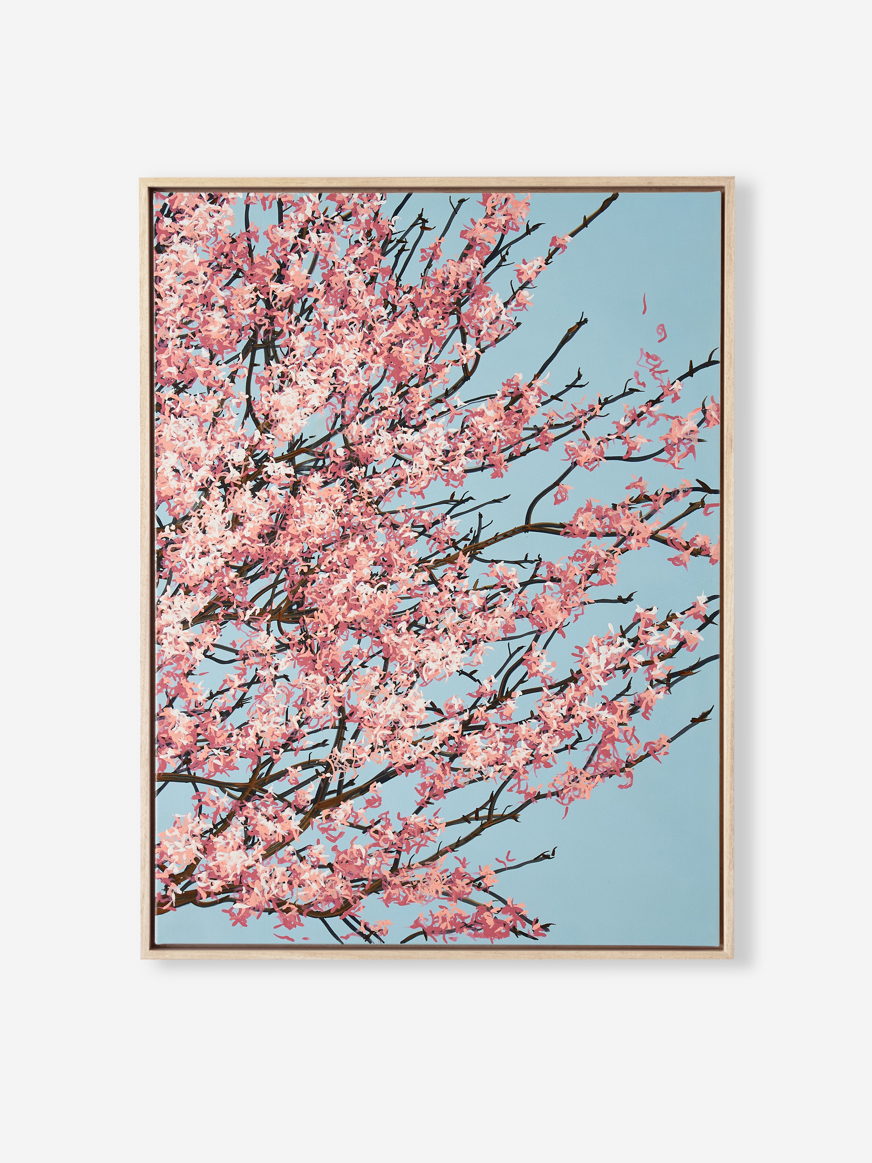 Sakura 02 / 005