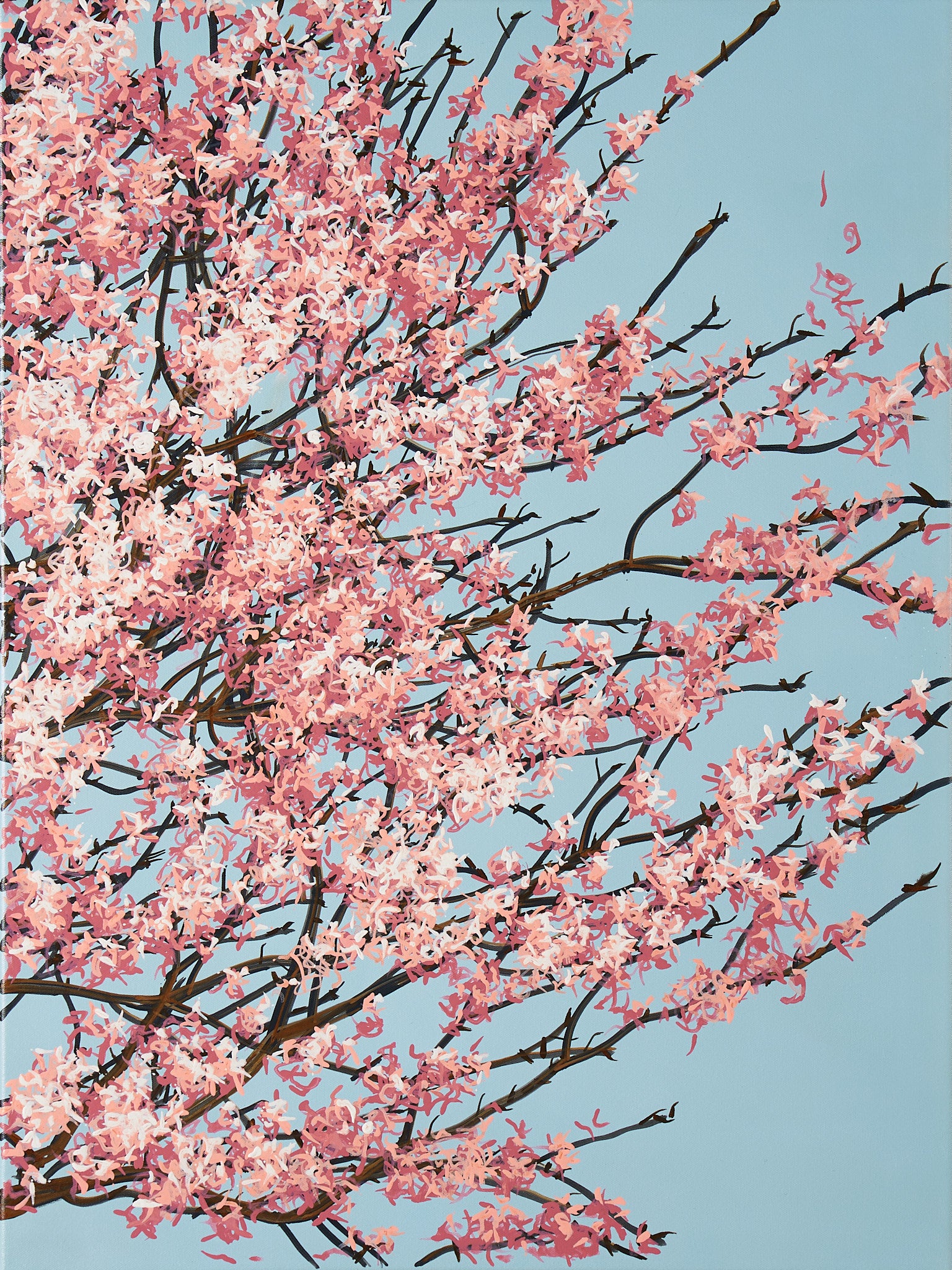 Sakura 02 / 005