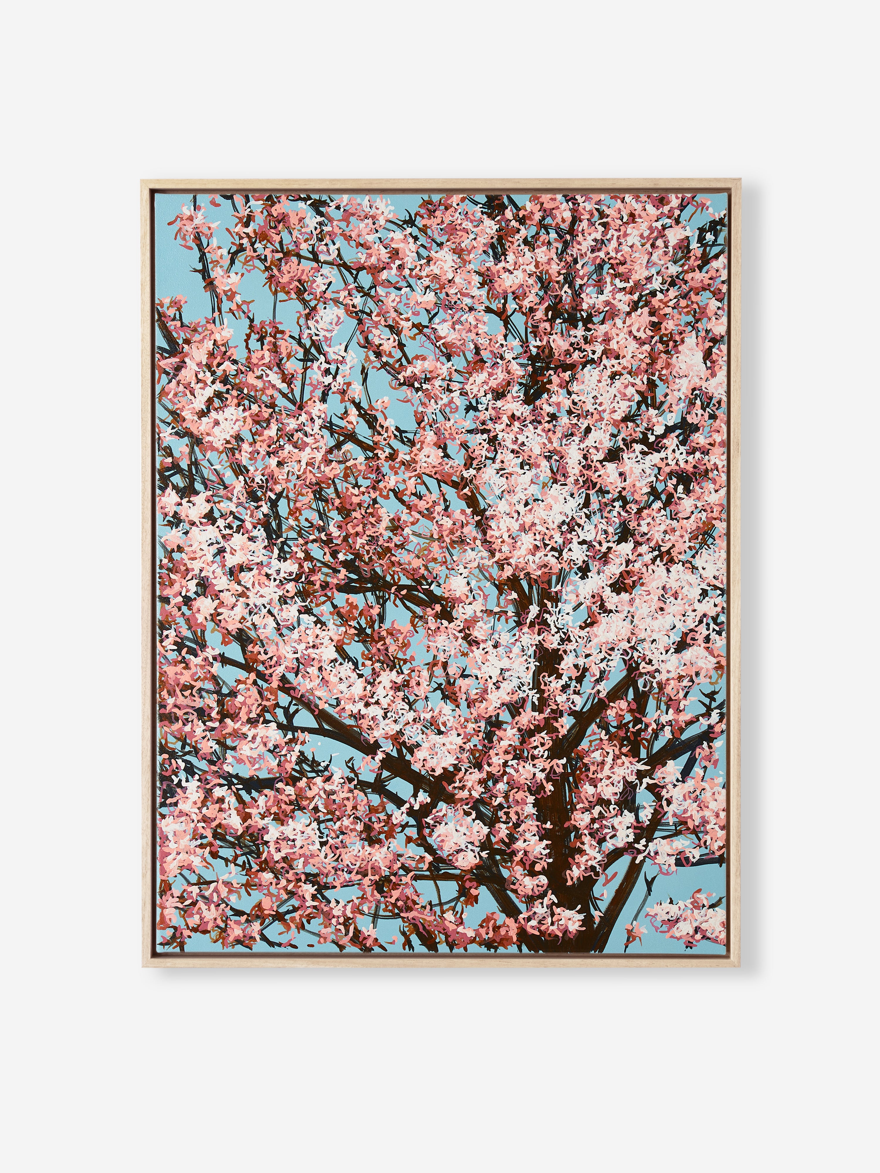 Sakura 02 / 006