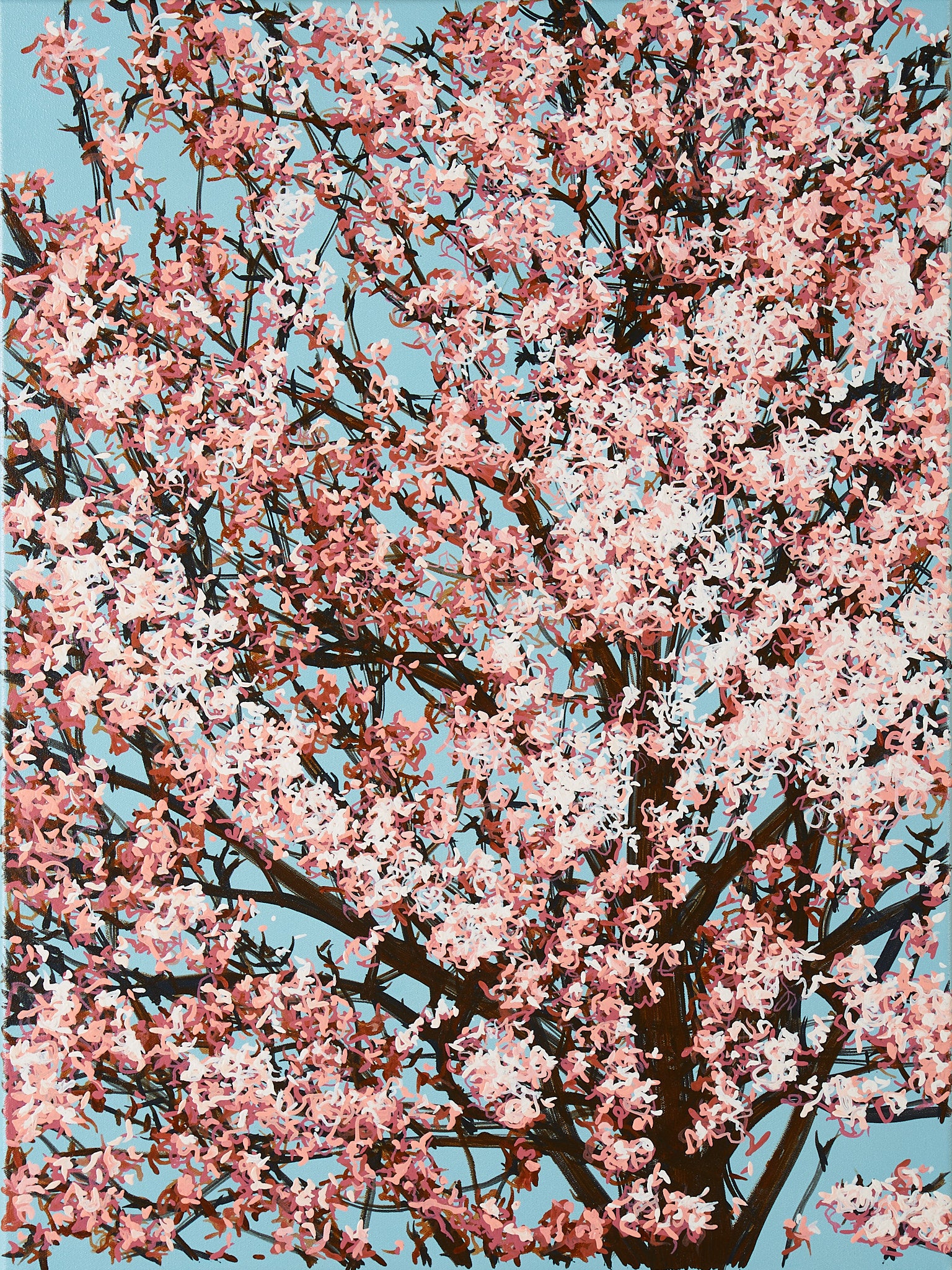 Sakura 02 / 006