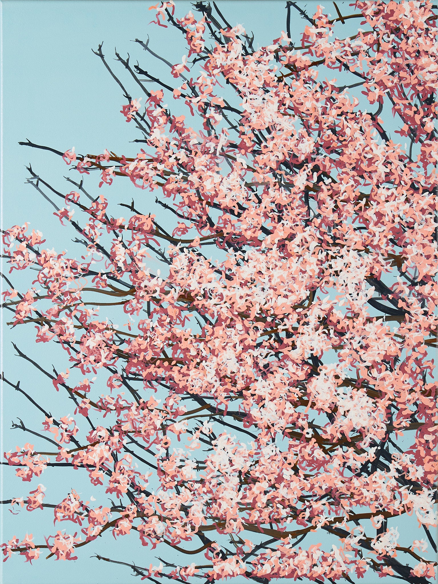 Sakura 02 / 007