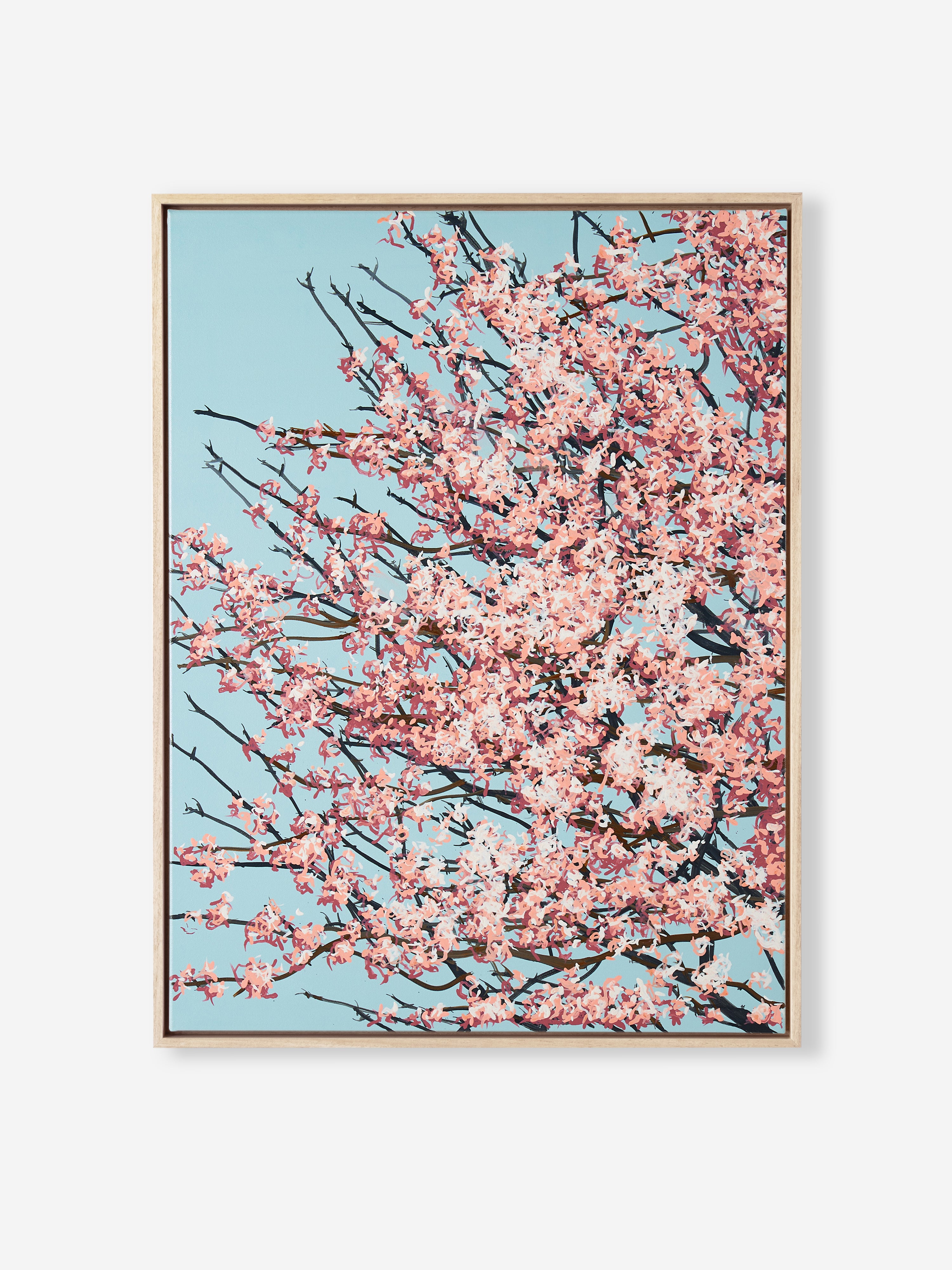 Sakura 02 / 007