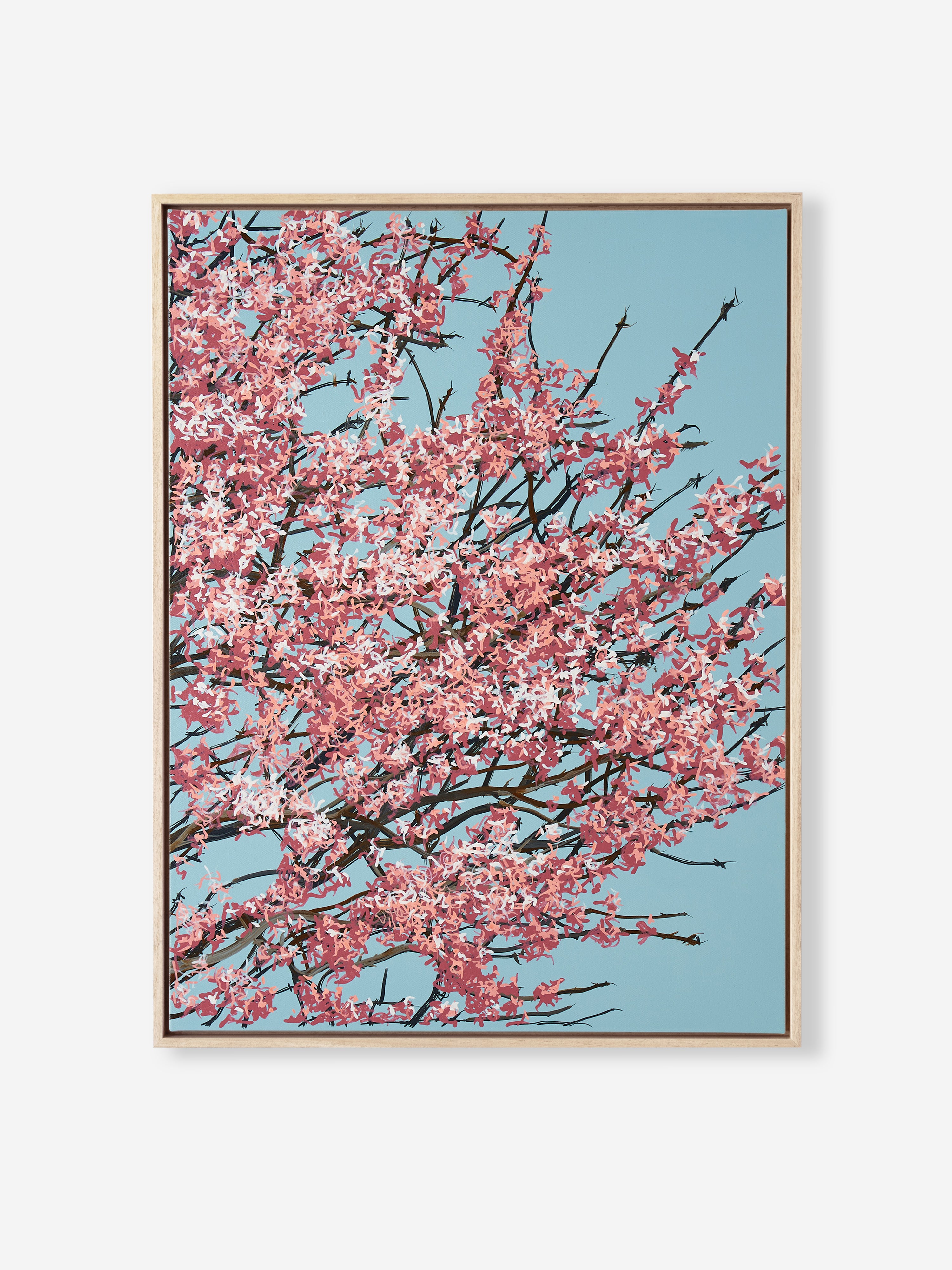 Sakura 02 / 008
