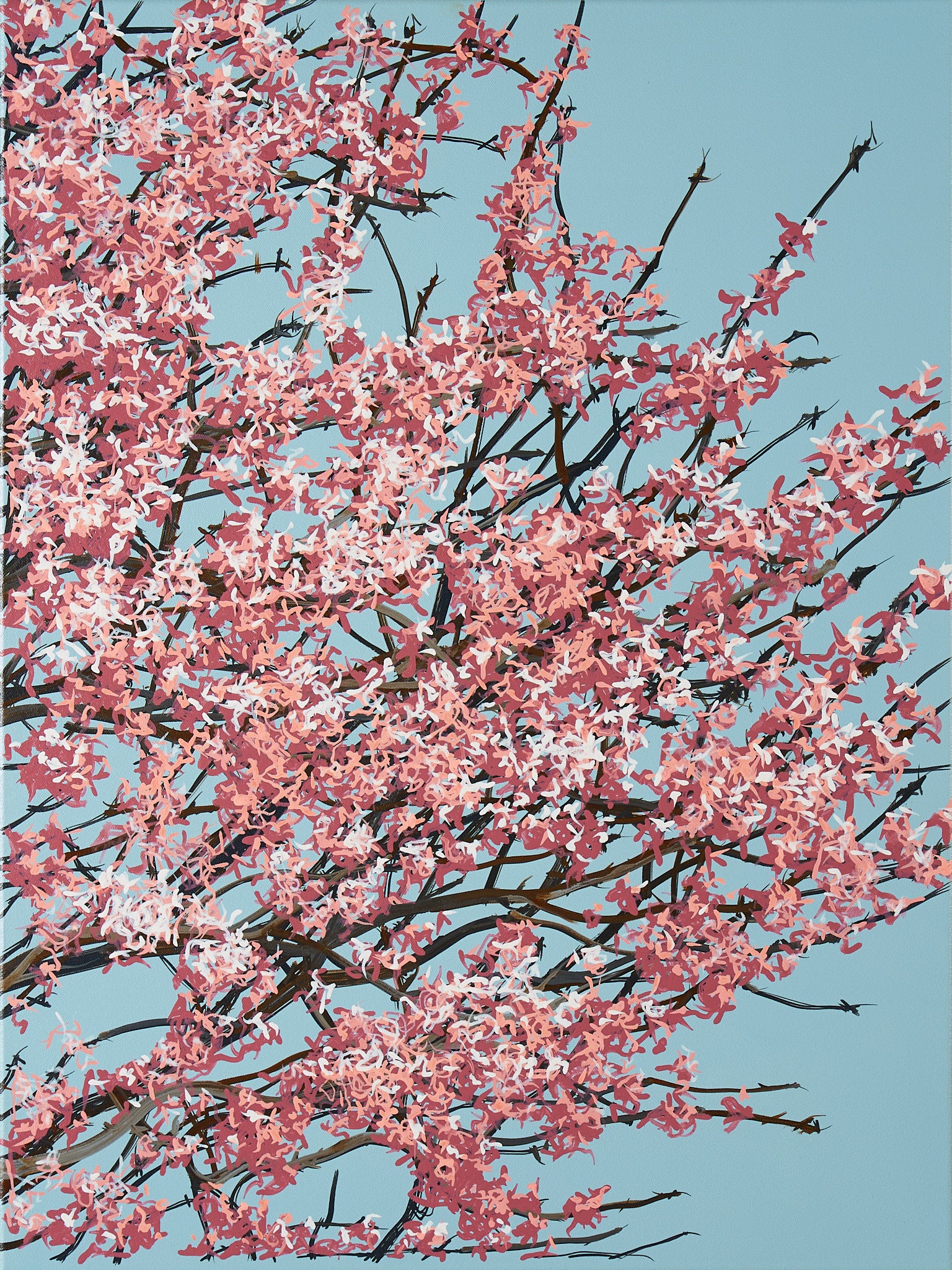 Sakura 02 / 008